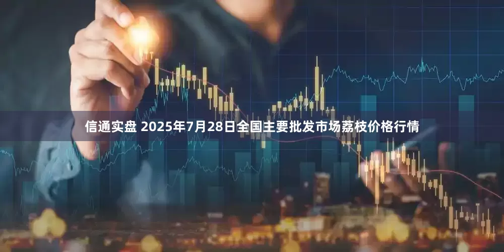 信通实盘 2025年7月28日全国主要批发市场荔枝价格行情