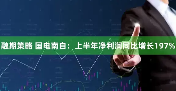 融期策略 国电南自：上半年净利润同比增长197%