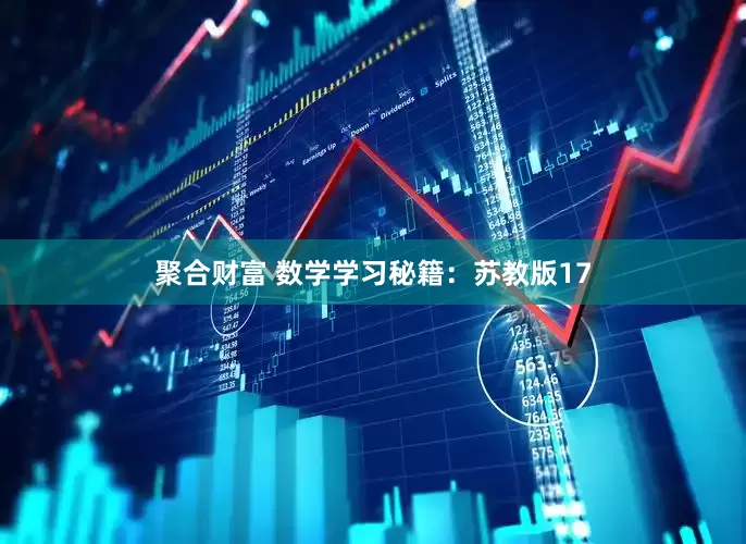 聚合财富 数学学习秘籍：苏教版17