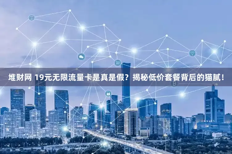 堆财网 19元无限流量卡是真是假？揭秘低价套餐背后的猫腻！